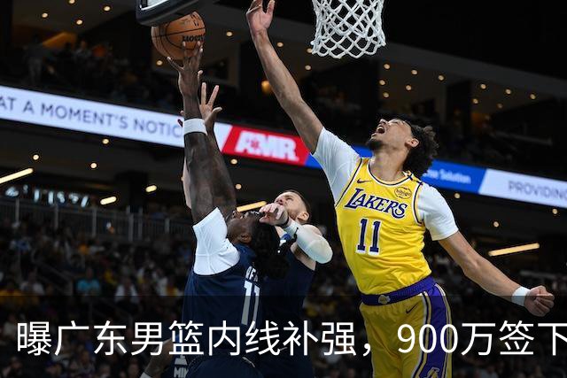 曝广东男篮内线补强，900万签下季后赛场均6.5分悍将，朱芳雨又现神操作